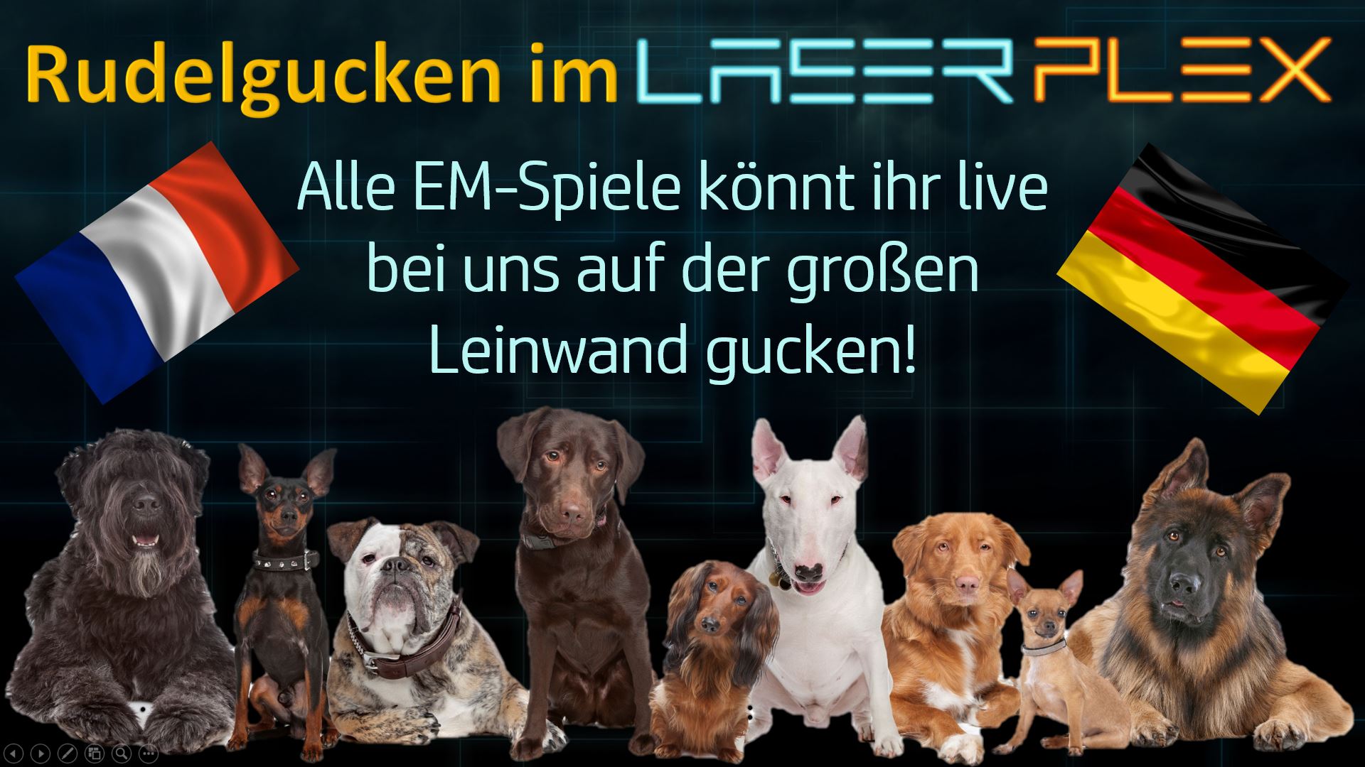 LASERPLEX – Rudelgucken
